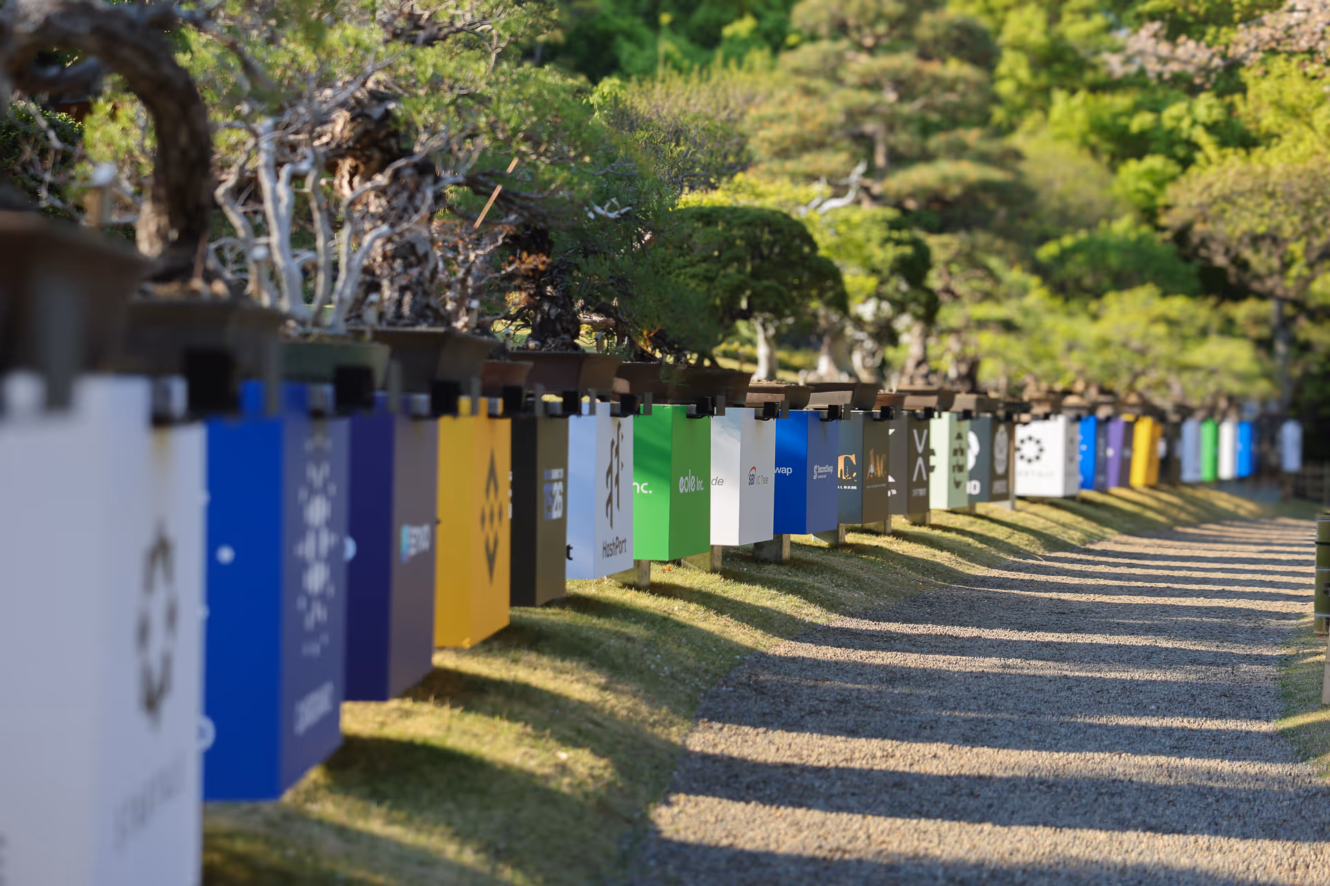 色とりどりの看板が並ぶ小道沿いの盆栽の展示と緑豊かな背景。