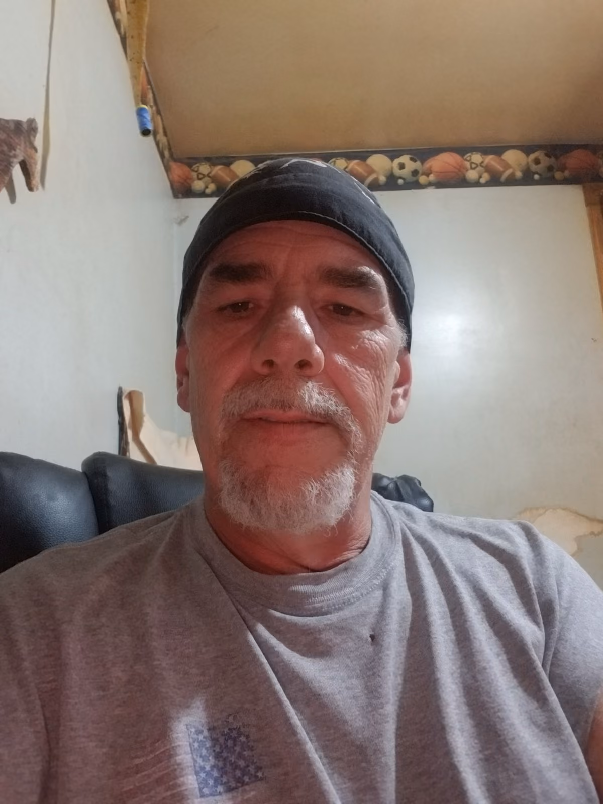 Dale Shipley