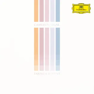Cameron Segal - Taking a moment, 