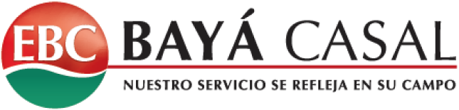 Logo Baya Casal