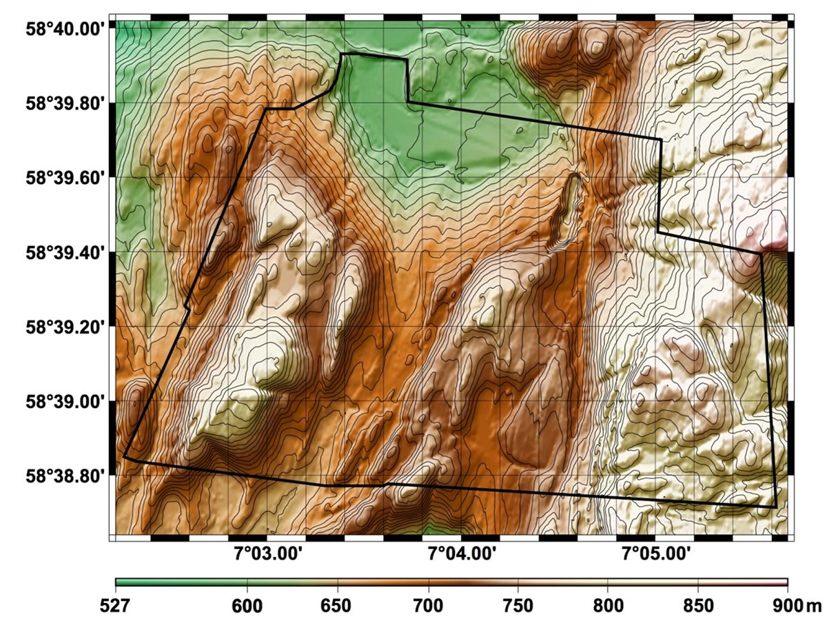 Topographic map of the survey area. The black contour corresponds to the limits of the magnetic surveys