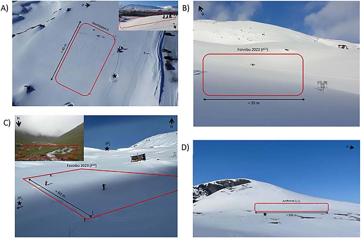 Alpine snow-covered field sites used for UAV-borne GPR snowpack characterization.