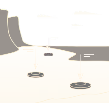 Tramp Metal Detection