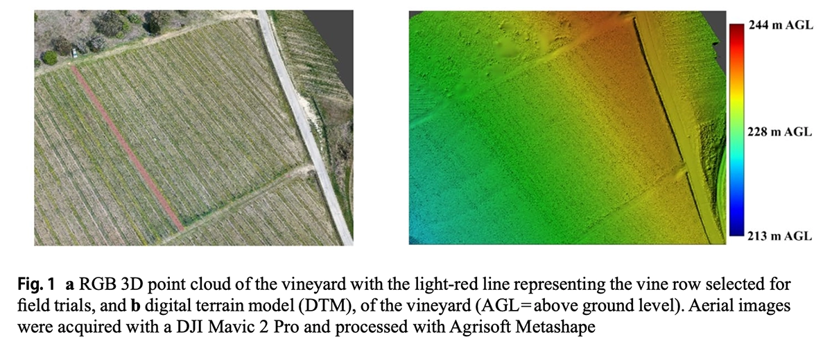 RGB 3D point cloud of the Castagnole Monferrato vineyard with the trial vine row marked in red, beside a digital terrain model of the same site shaded by height