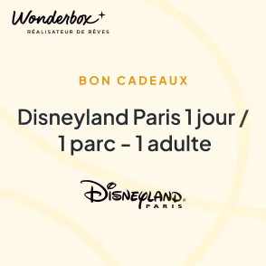 Place Disney entreprise Panopli
