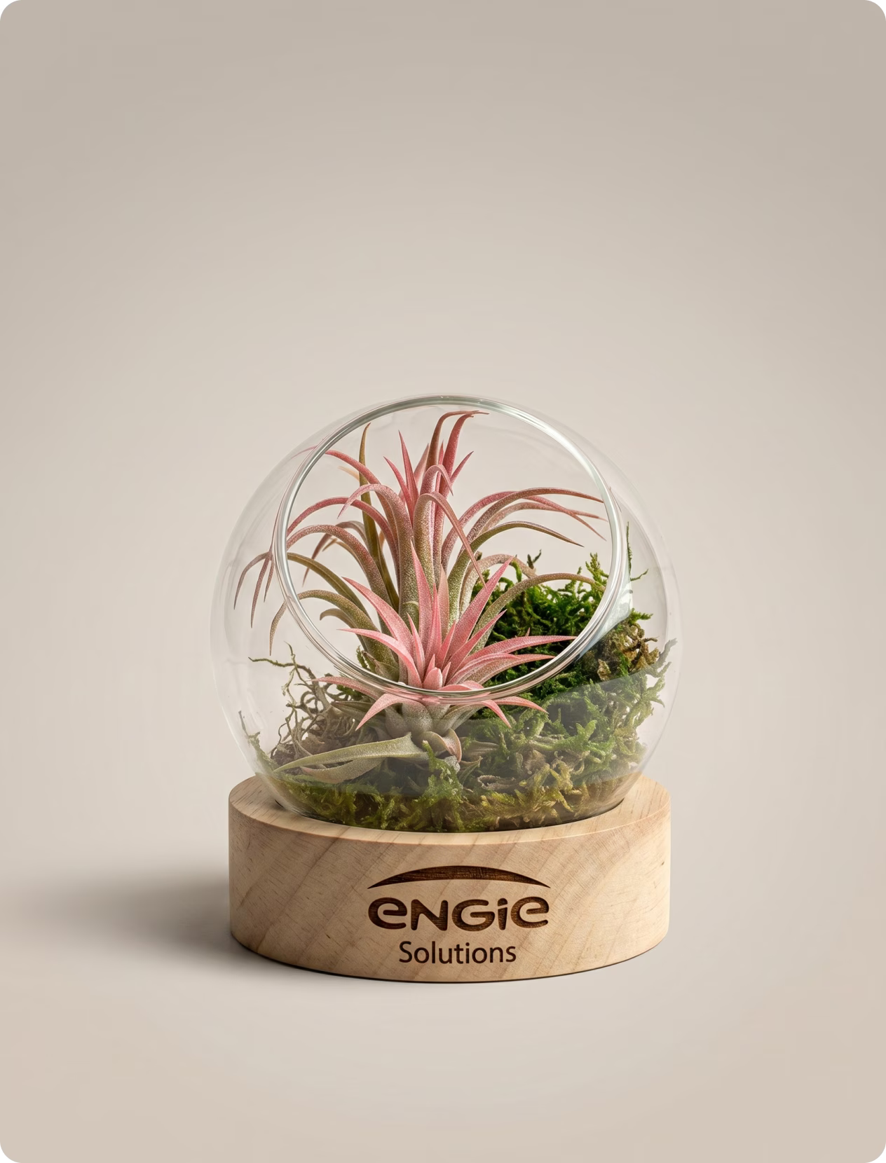 Terrarium personnalisé