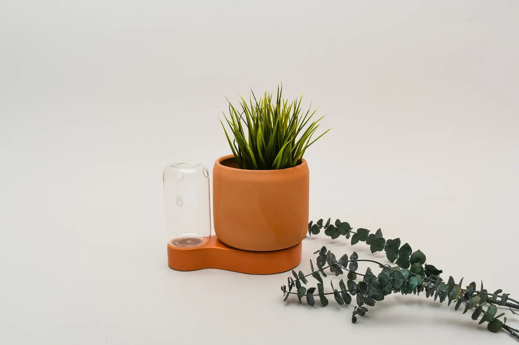 Pot à bouture avec système d'auto-arrosage