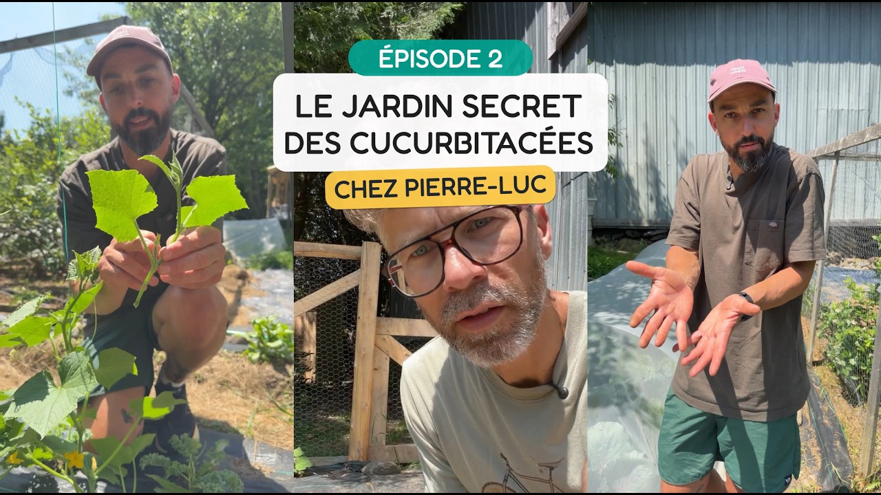 Le jardin secret des cucurbitacées
