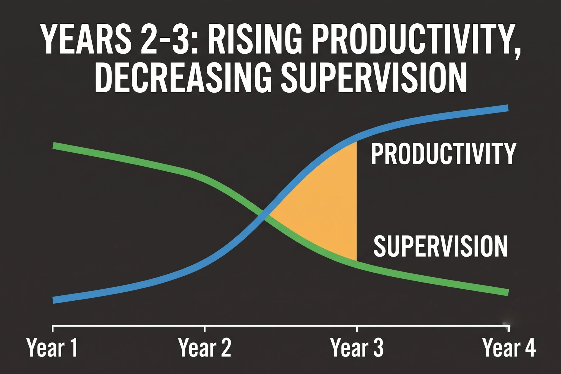 Line graph illustrating increasing apprentice productivity and decreasing supervision needs over time.