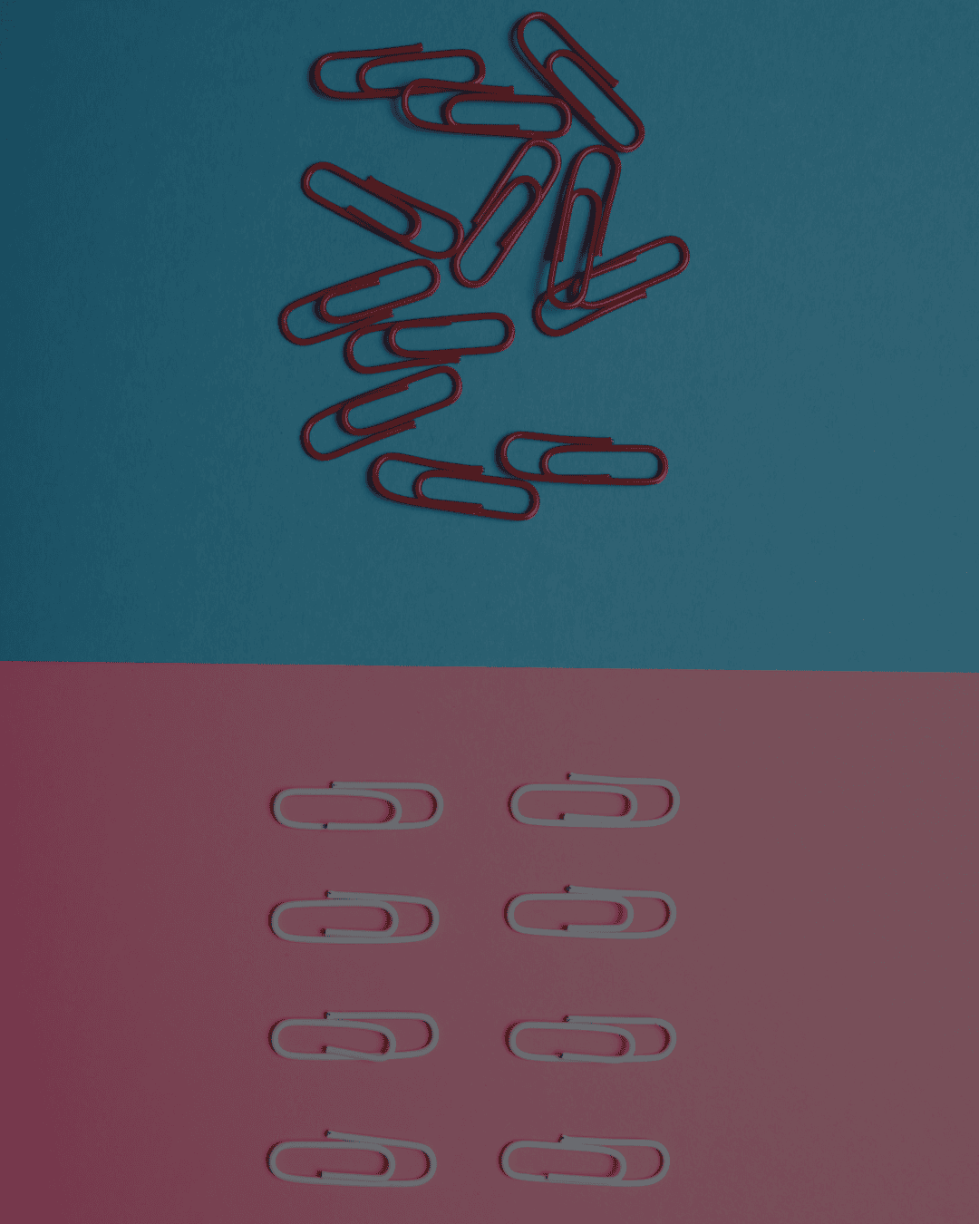 Evolução de organização financeira com apoio da consultoria Ascenda Wealth.