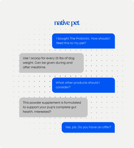 AI SMS Messaging