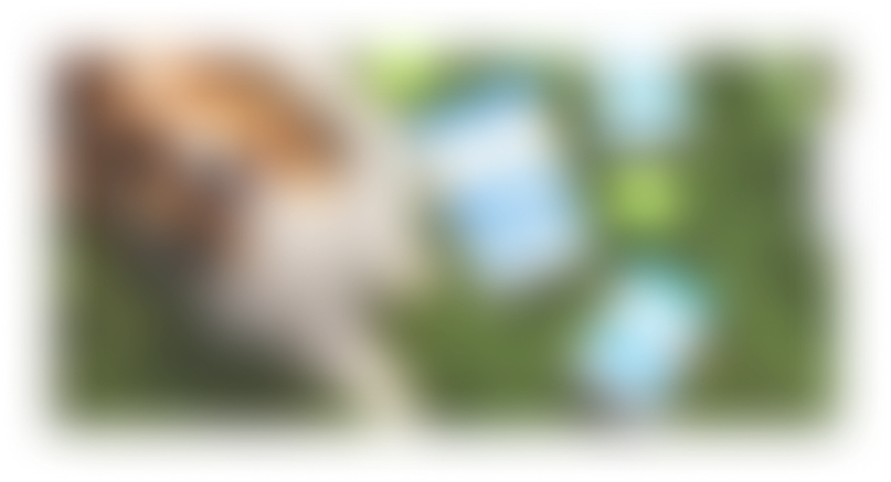blur image