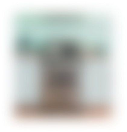 blur image