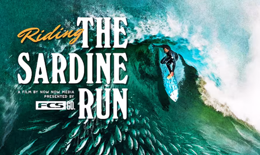 Riding The Sardine Run Featuring Adin Masencamp