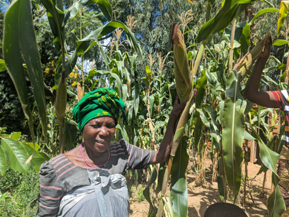 Together we go organic