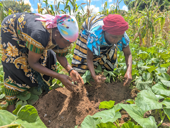 Together we go organic