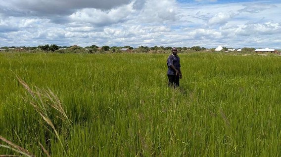 Abbasi's Organic Farming Experience