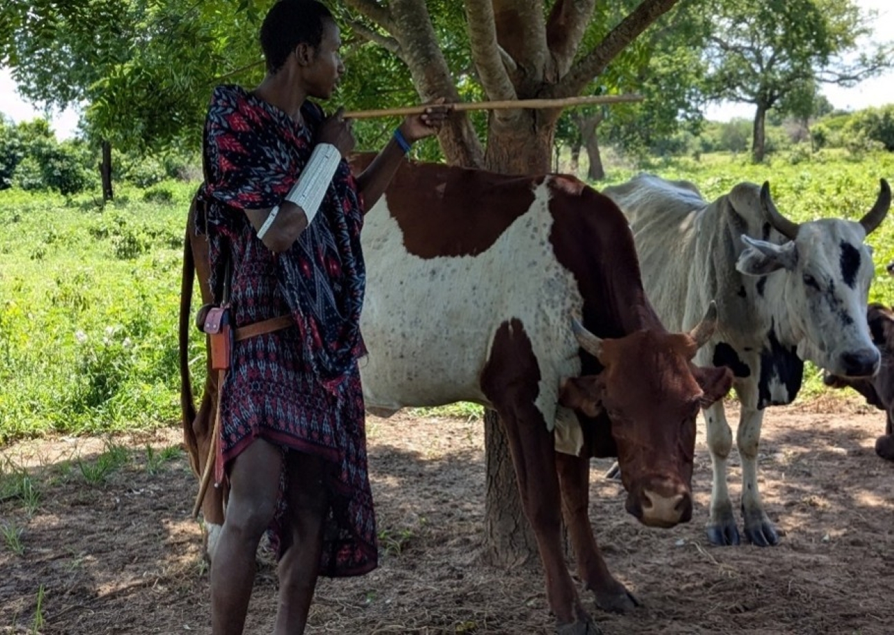 Improved Livestock Breeding Transforms a Pastoralist's Future: Sirandoi Digalu's Story