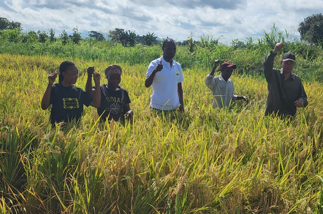 Kesho Yangu Group – Growing Together Through Agroecology and Collective Action