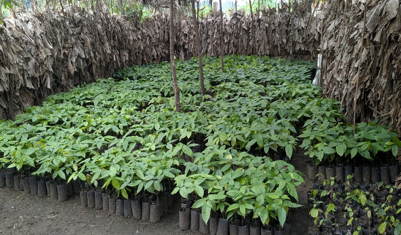 Kesho Yangu Group – Growing Together Through Agroecology and Collective Action