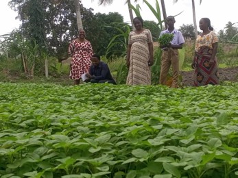 Bless Simon Lukondo’s Journey with the School Garden Project