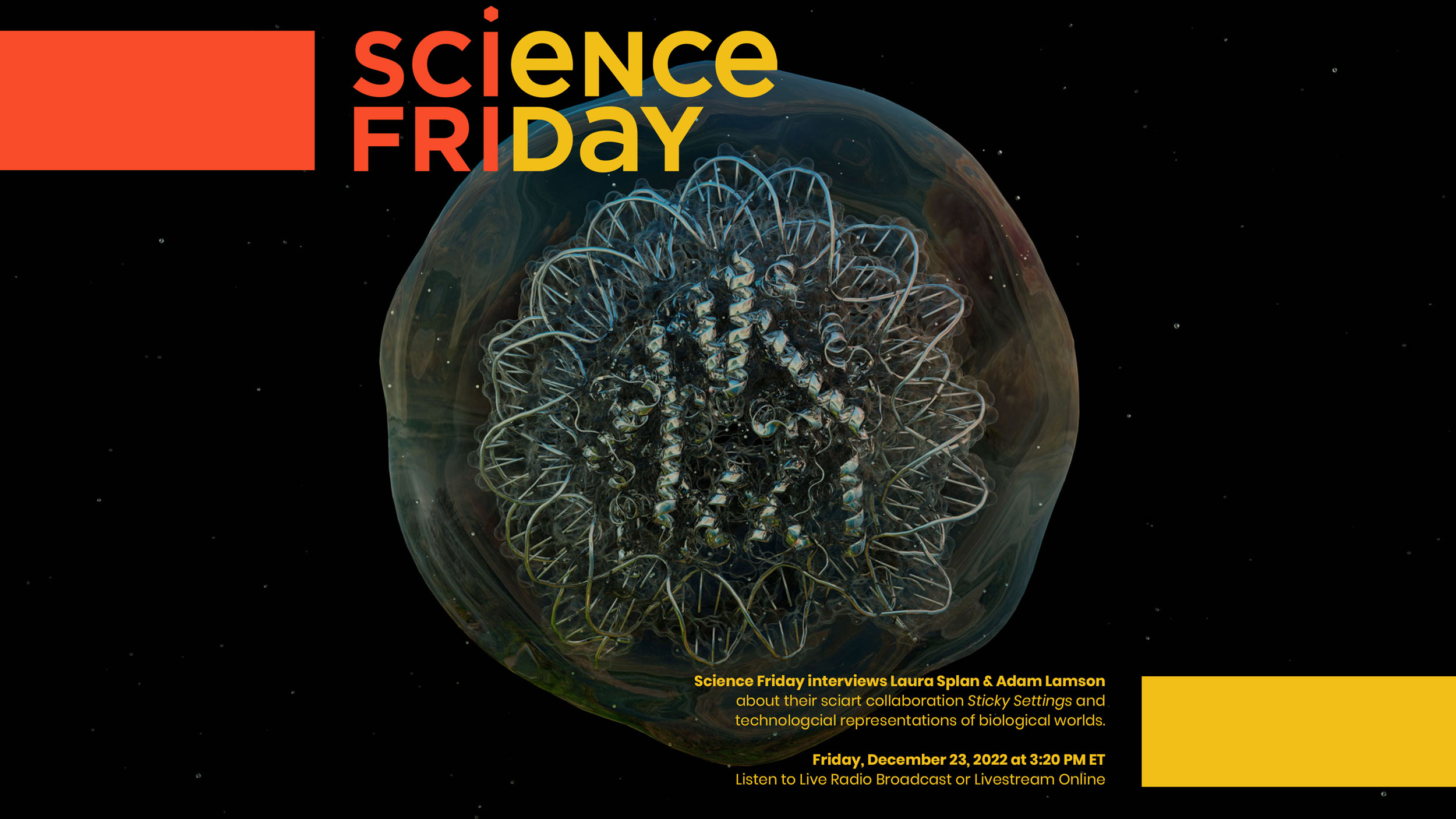 Art Interview in Science Friday