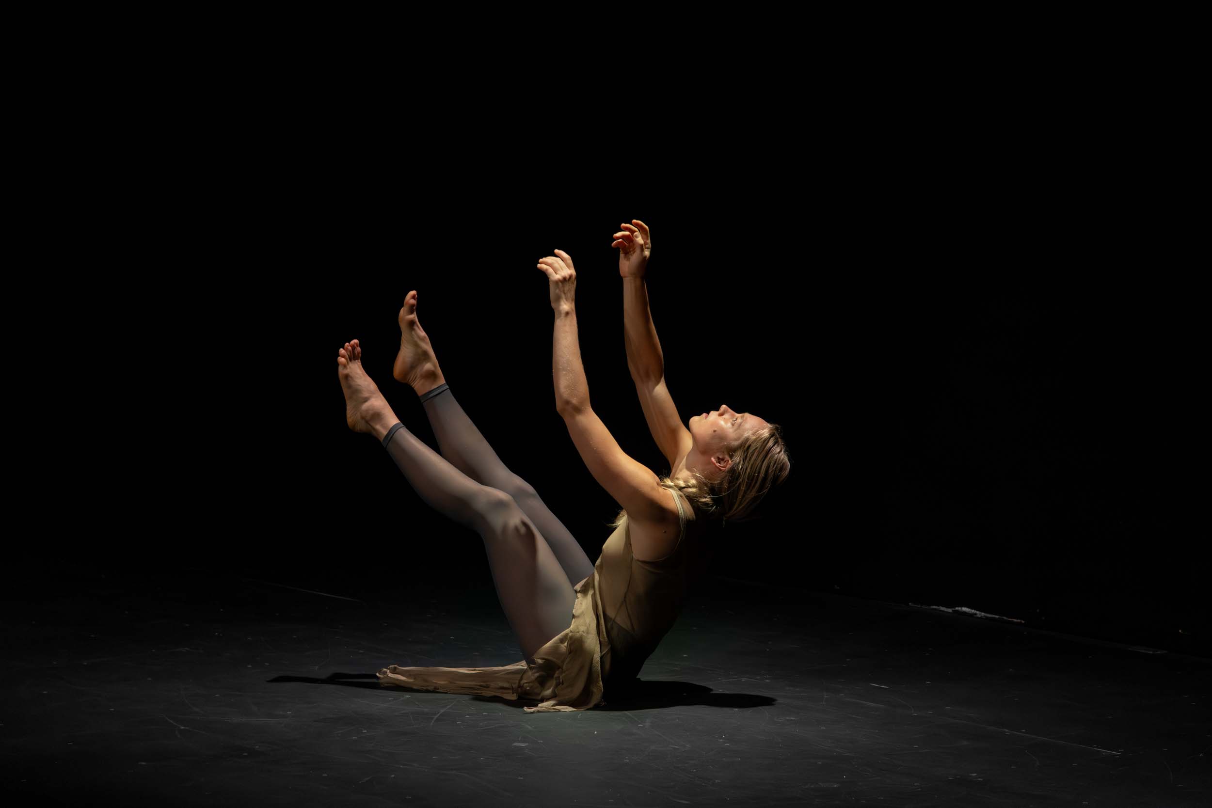 "Cryptic Lineages". 2025. Multimedia performance screening. Commissioned by the Museum of the Moving Image. Photo by Whitney Browne.