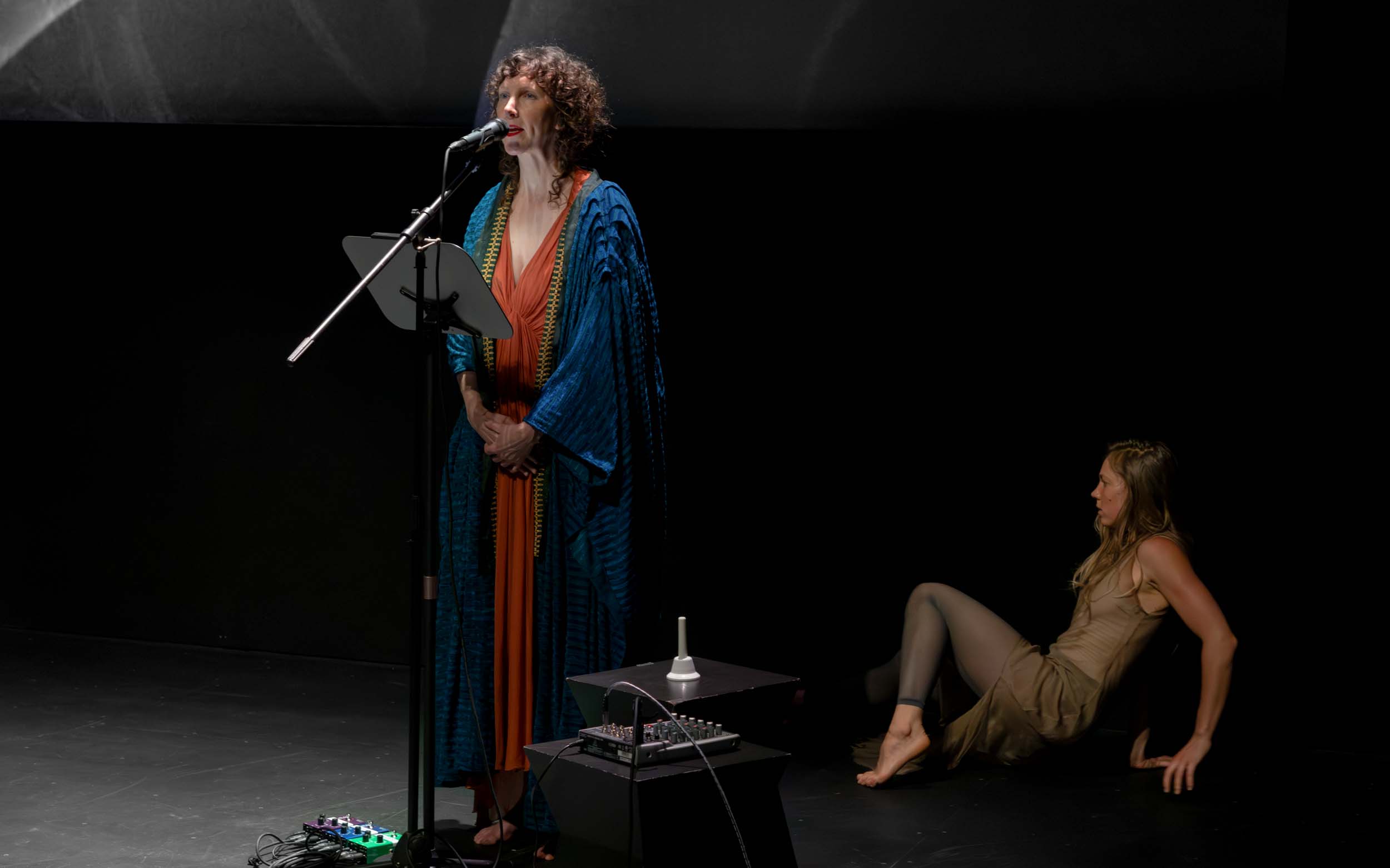 "Cryptic Lineages". 2025. Multimedia performance screening. Commissioned by the Museum of the Moving Image. Photo by Whitney Browne.
