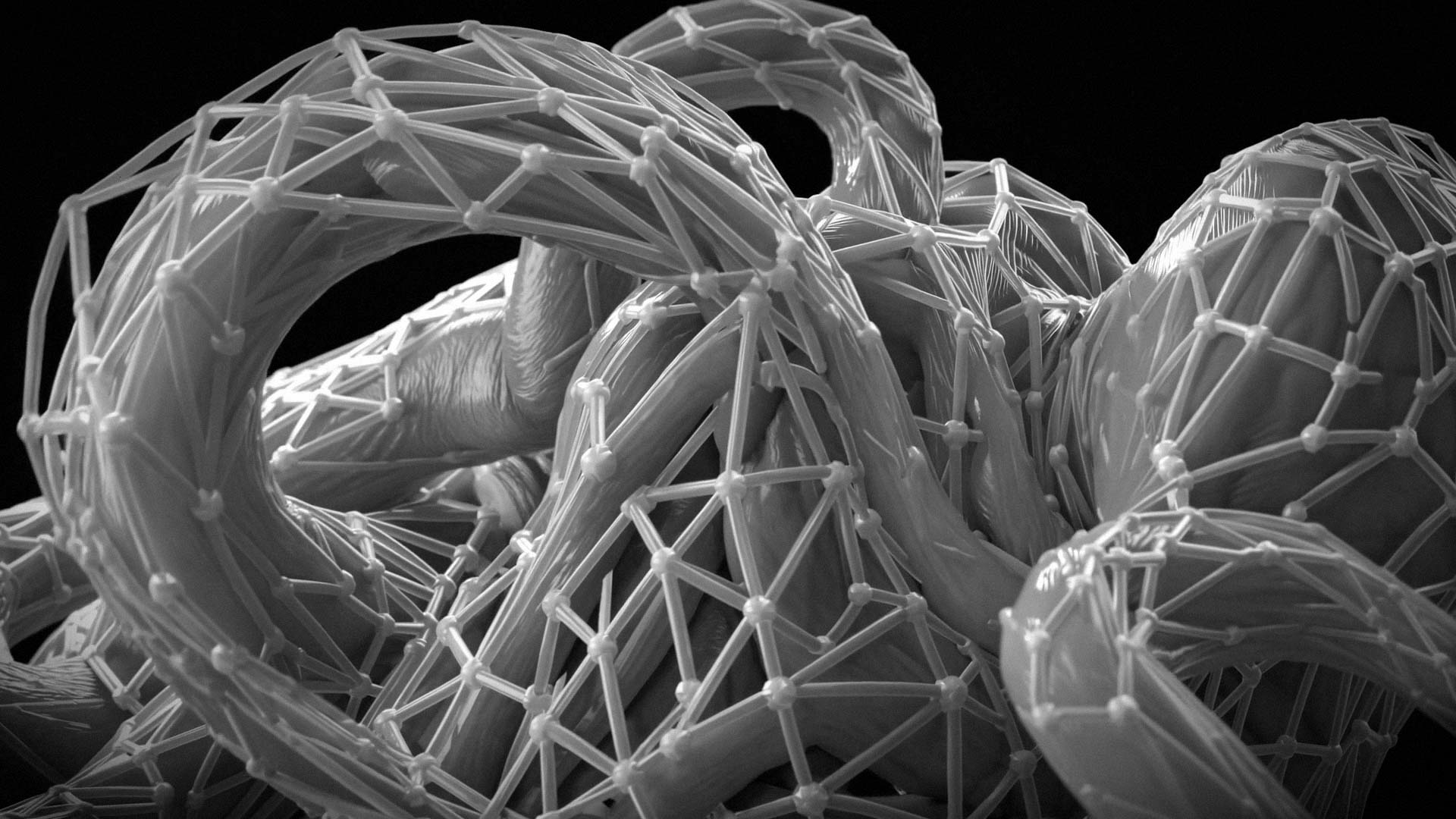 single channel AI-generated video and sounds exploring how cultural constructions of the "natural" and the "individual" are shaped by the computational