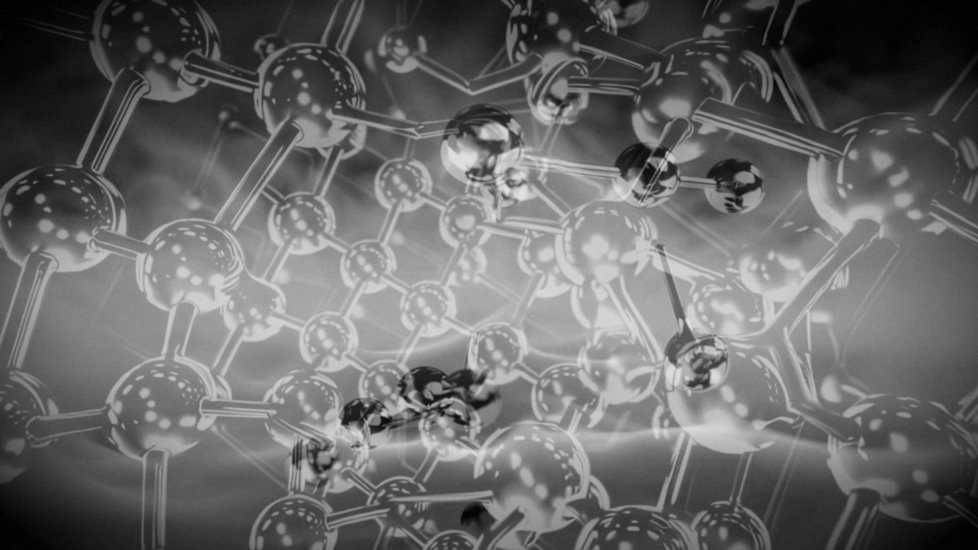 "Cryptic Lineages". 2025. Laura Splan. Still from single-channel video with sound.