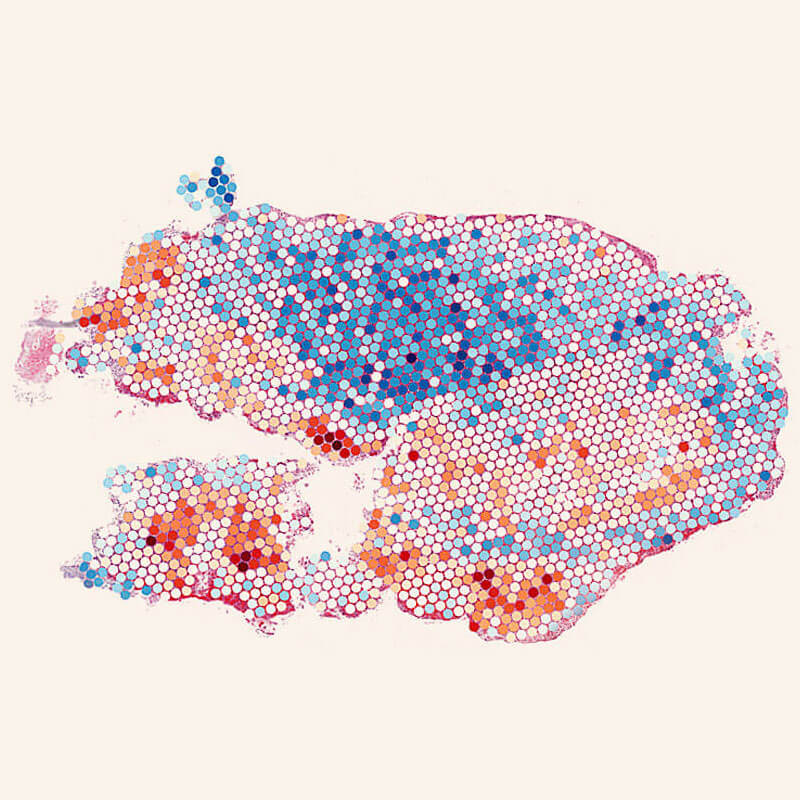 From Slide to Device