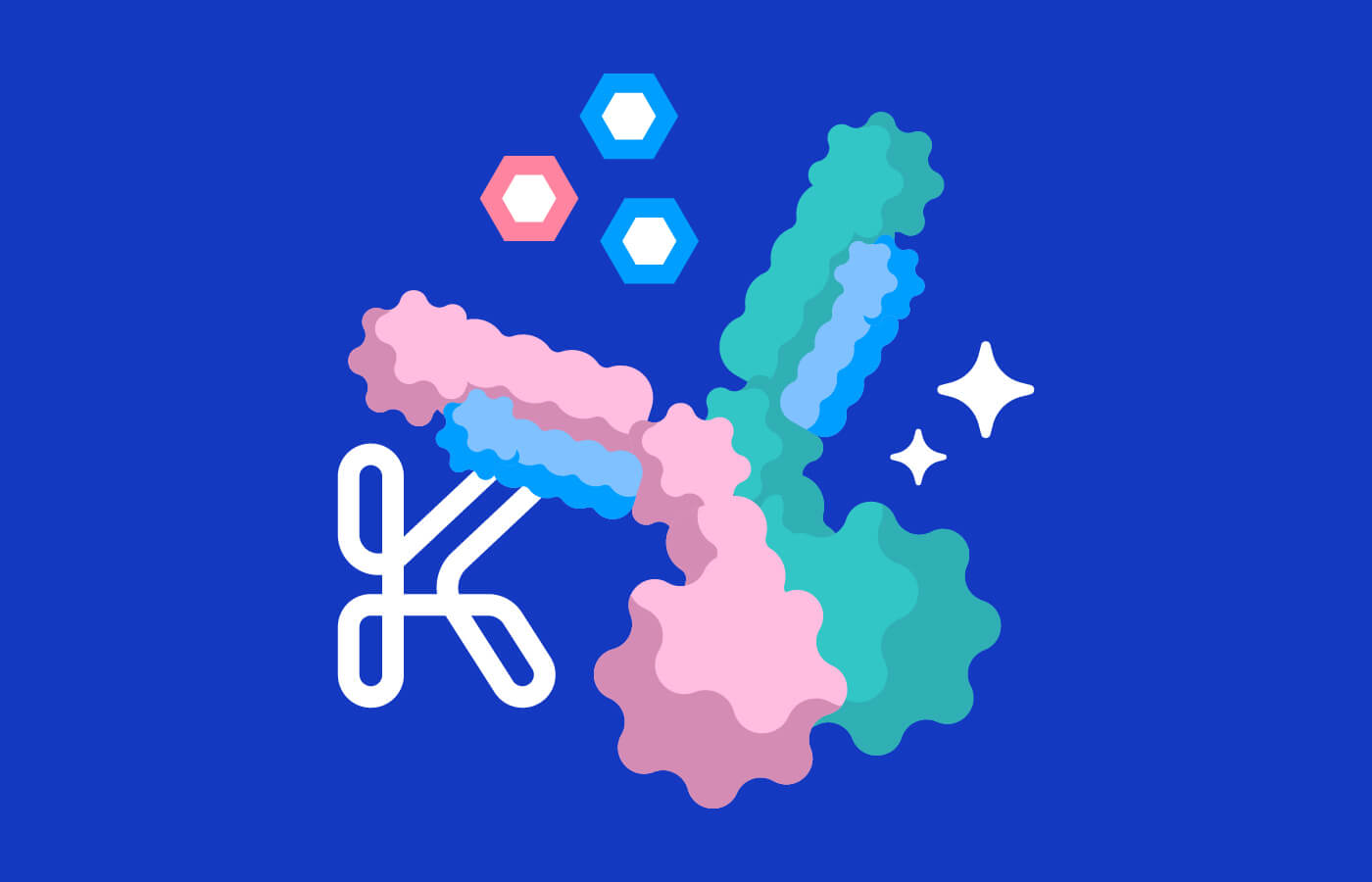 Data Network