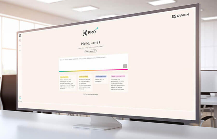 K Pro Decision Making Tool