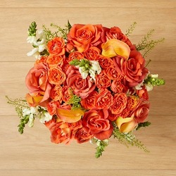 Butter Pecan seasonal flowers