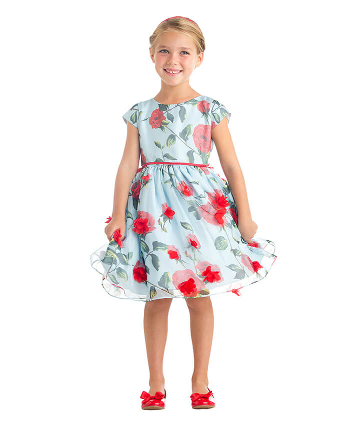 little girl wearing a dress