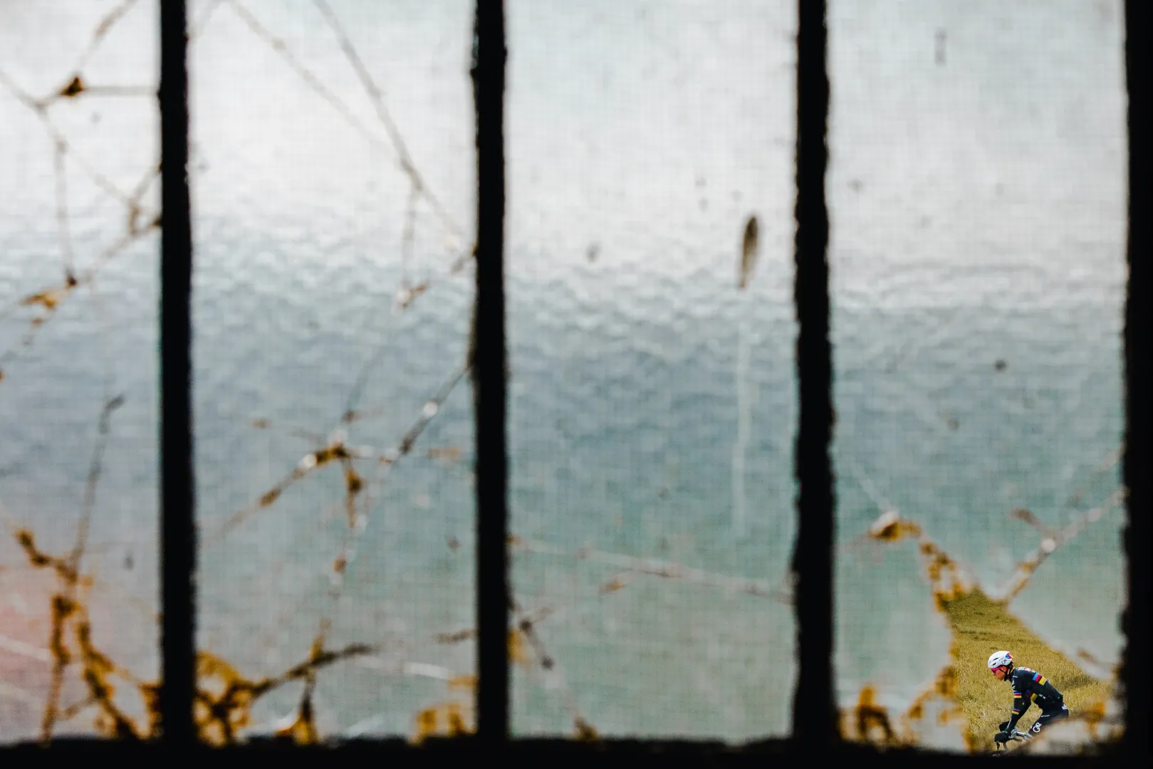 Cyclist wearing a helmet riding on grass, seen through a textured window with vertical bars and spider webs.