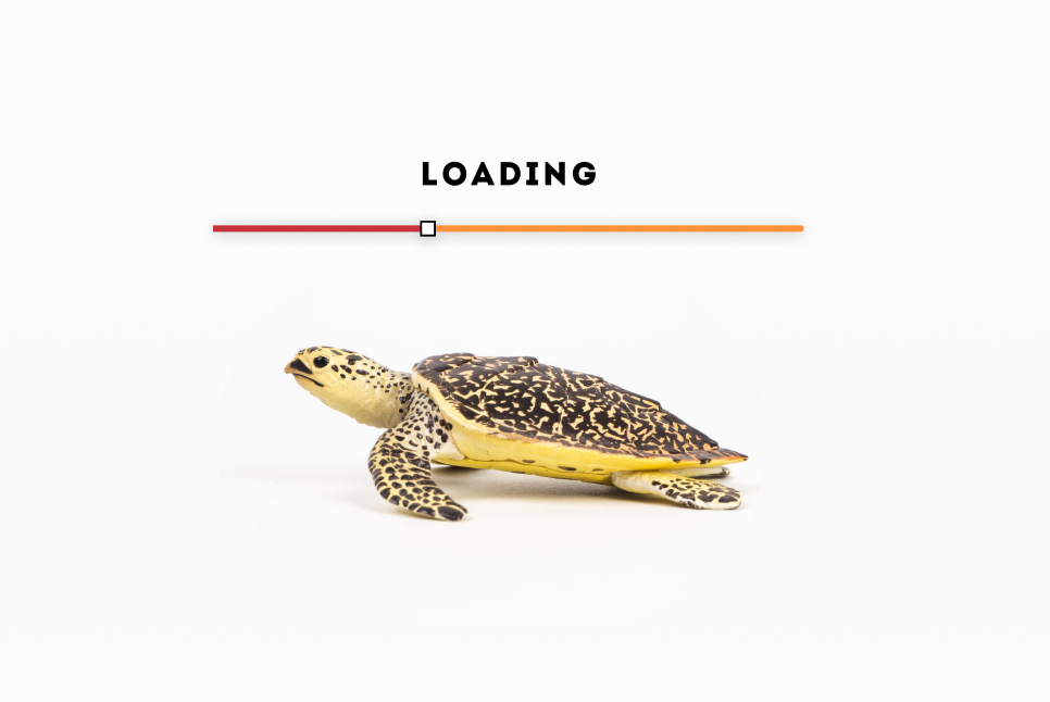 Website Speed Optimisation Services | Expert Web Development Company