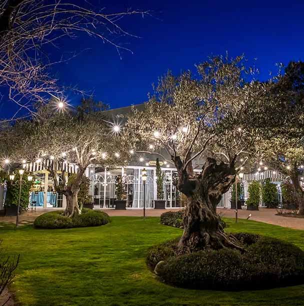 Jardín con césped verde, árboles iluminados con guirnaldas de luces frente a un edificio con grandes ventanas durante la noche.