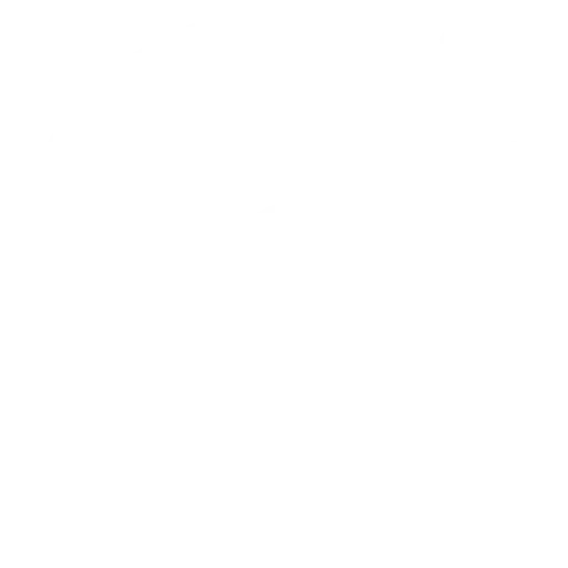 Flexible Engagement Models