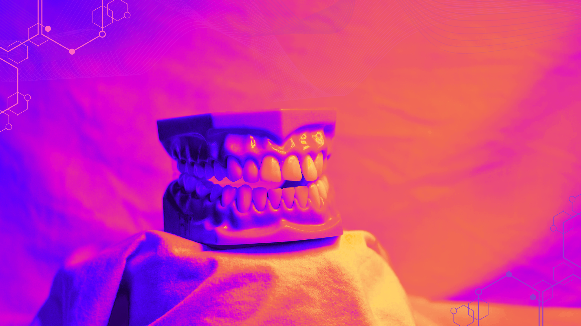 Upper and Lower arch model of teeth