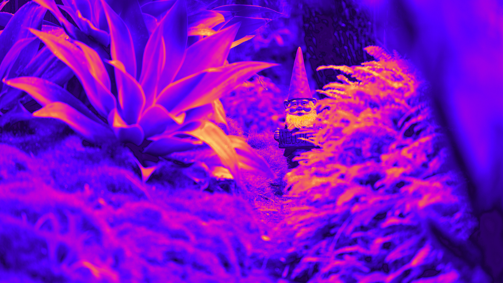 A happy little gnome in a lush landscape. 