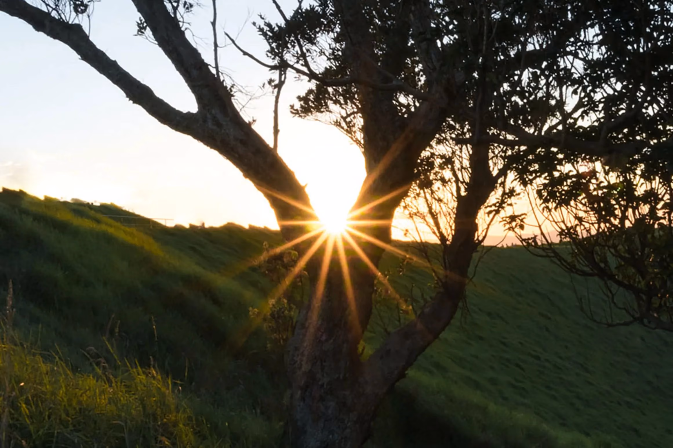The sun is setting behind a tree on a hill.