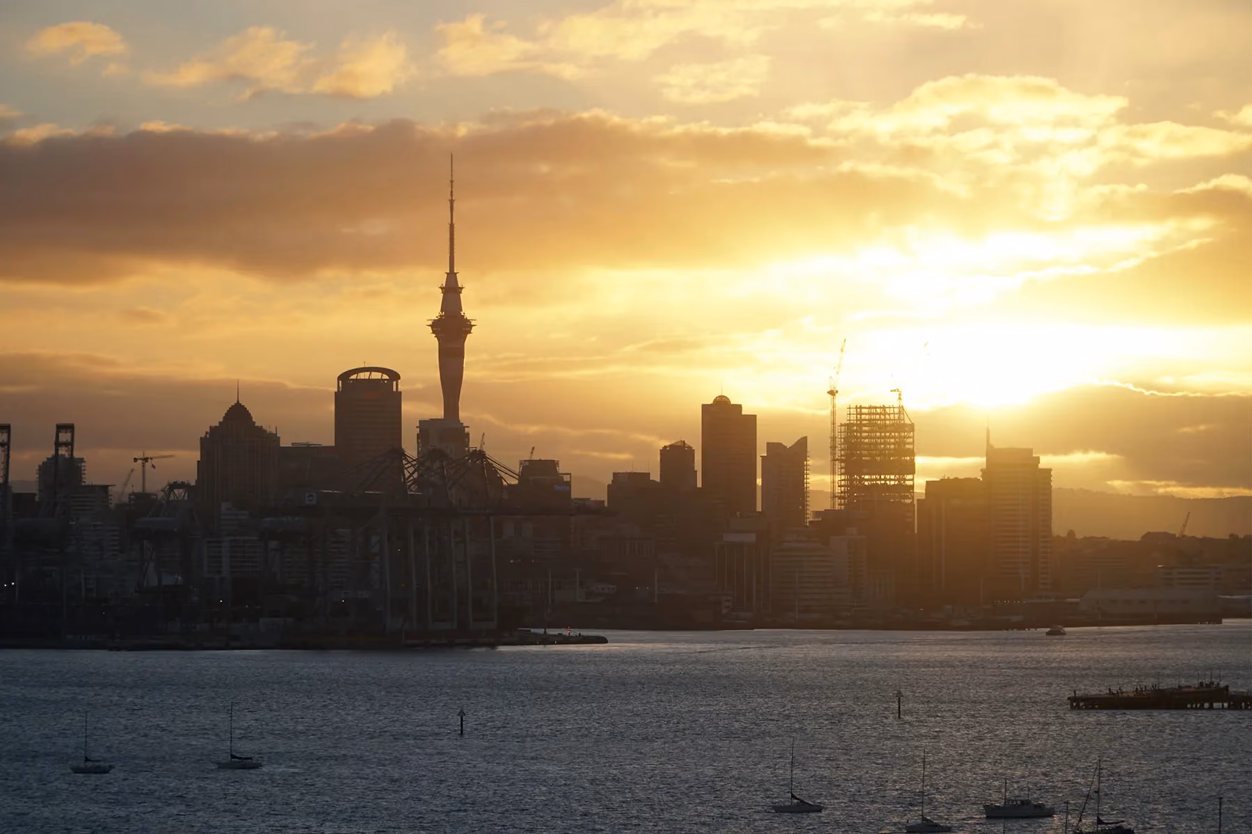 Auckland city skyline in the distance.