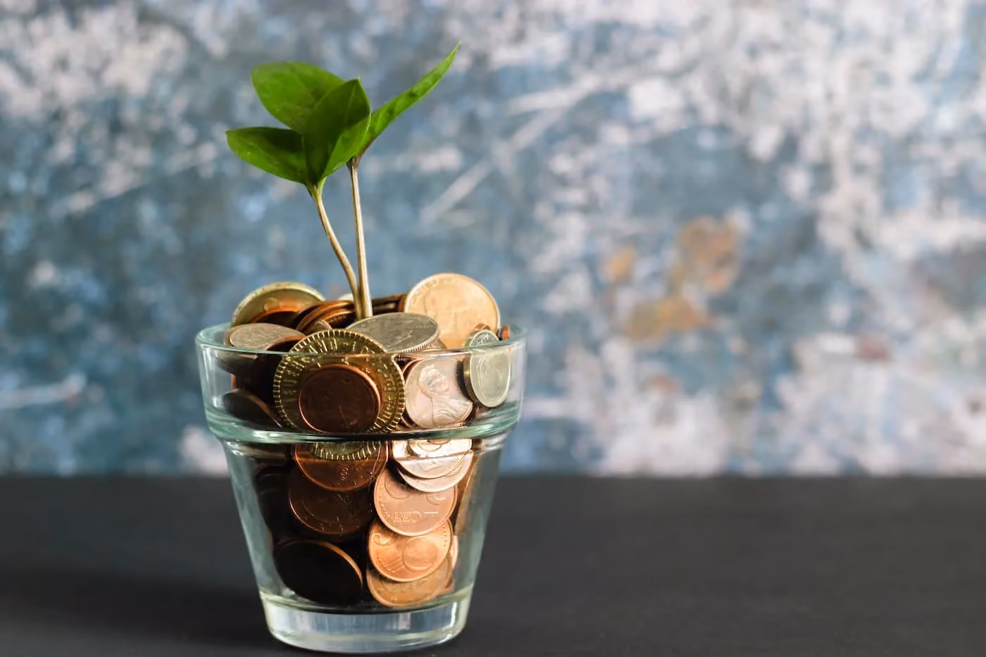 A glass vase with coins and a plant growing out of it.