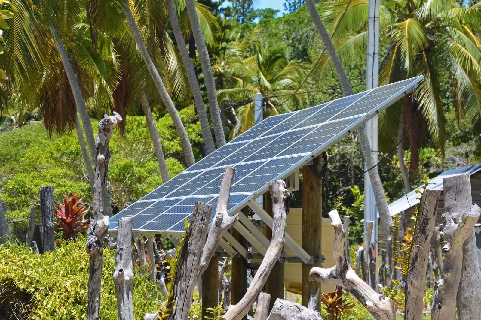 A solar panel in the middle of a tropical forest.