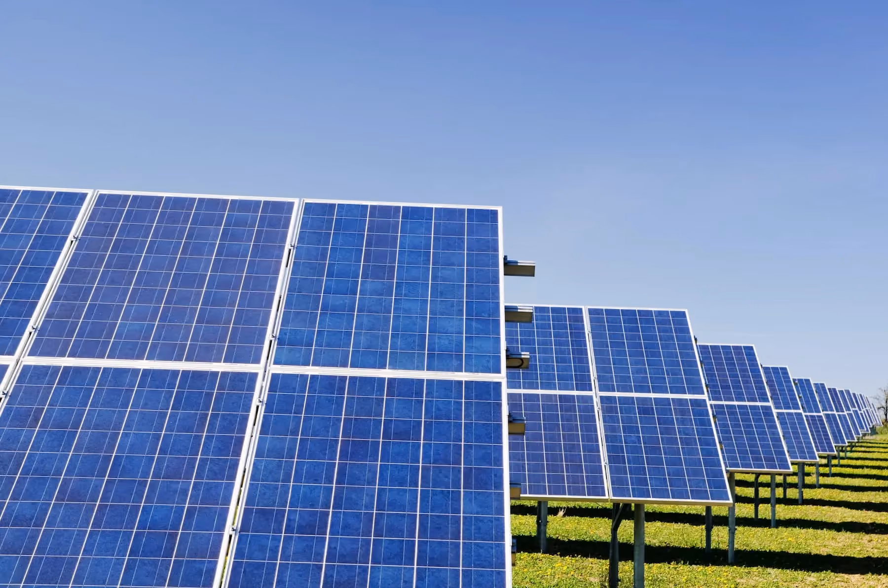 A row of solar panels in a field.