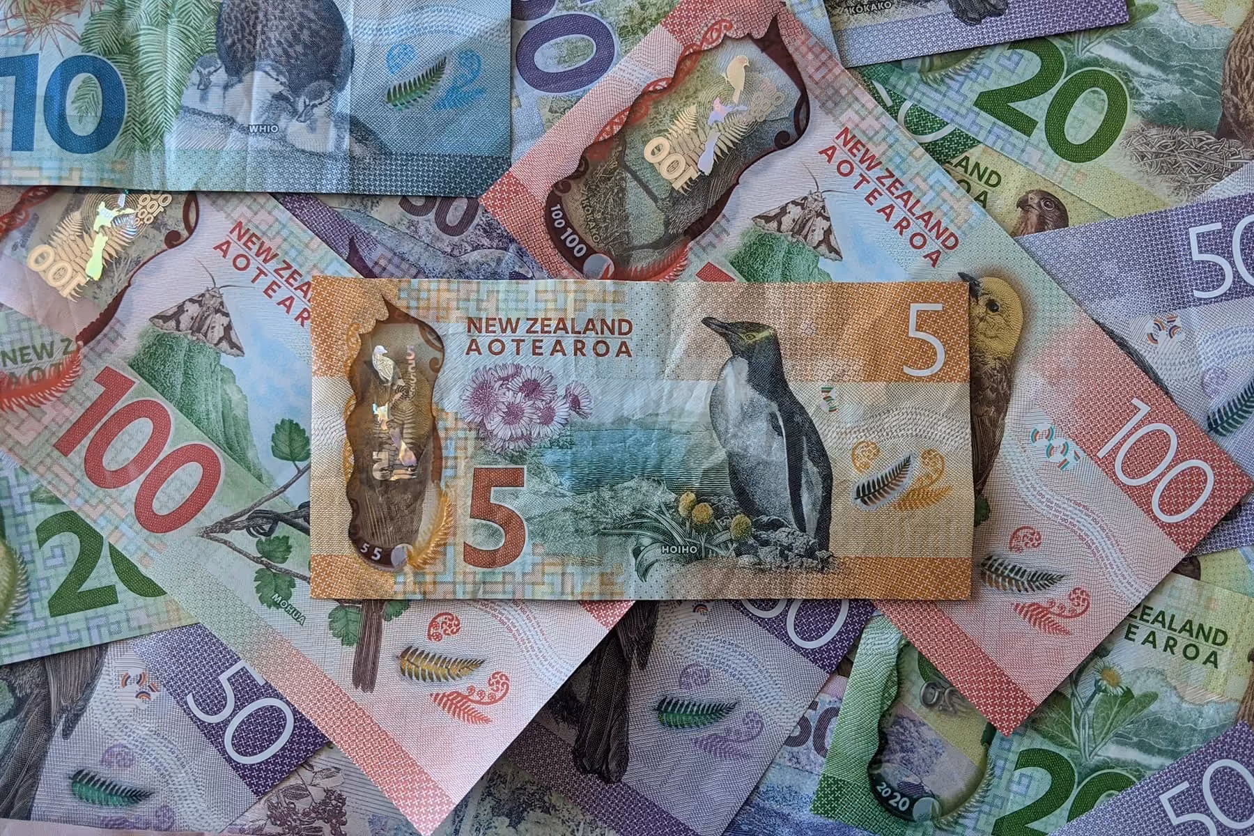 A pile of new zealand currency notes.