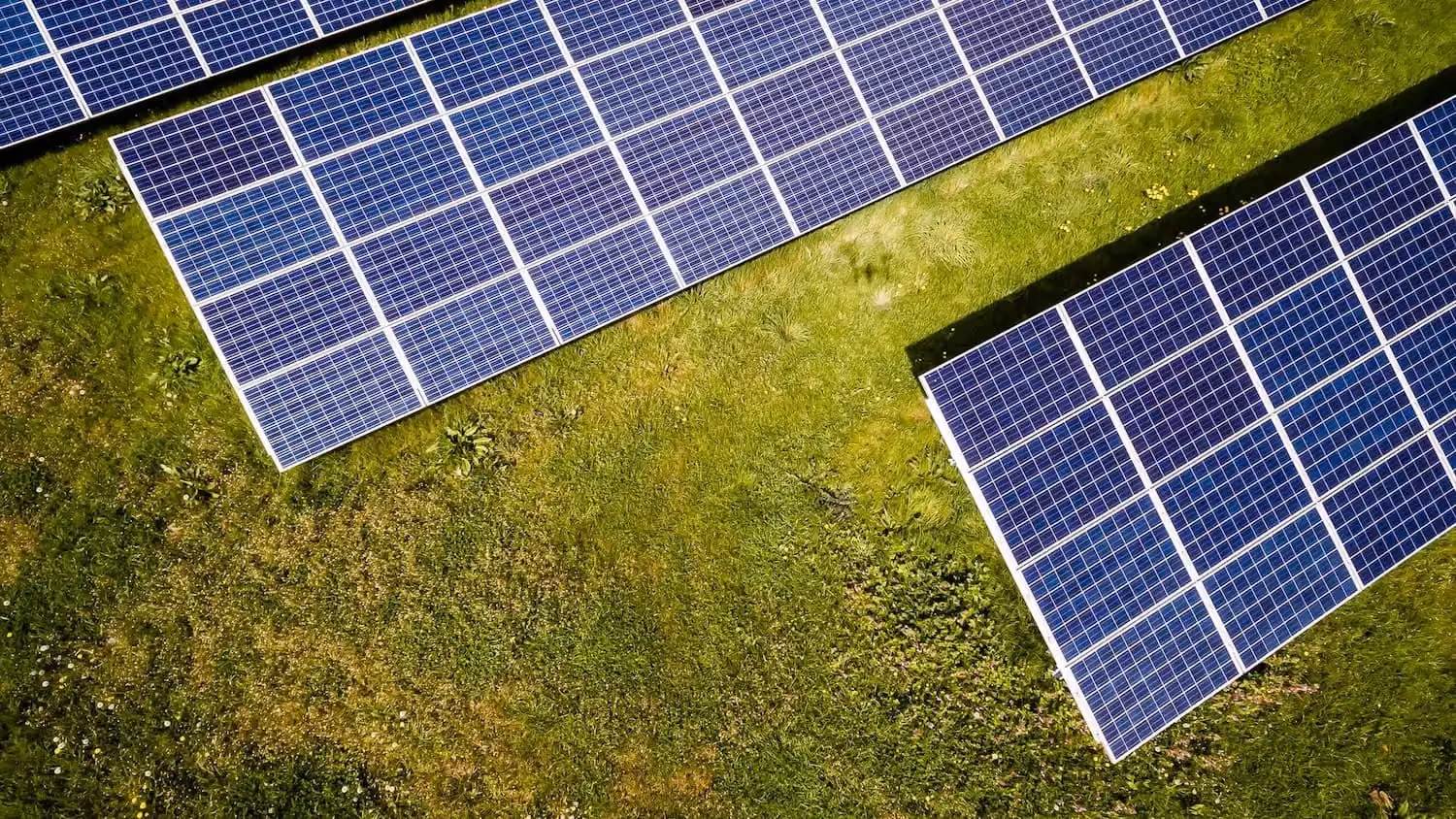 An aerial view of solar panels on a grassy field.