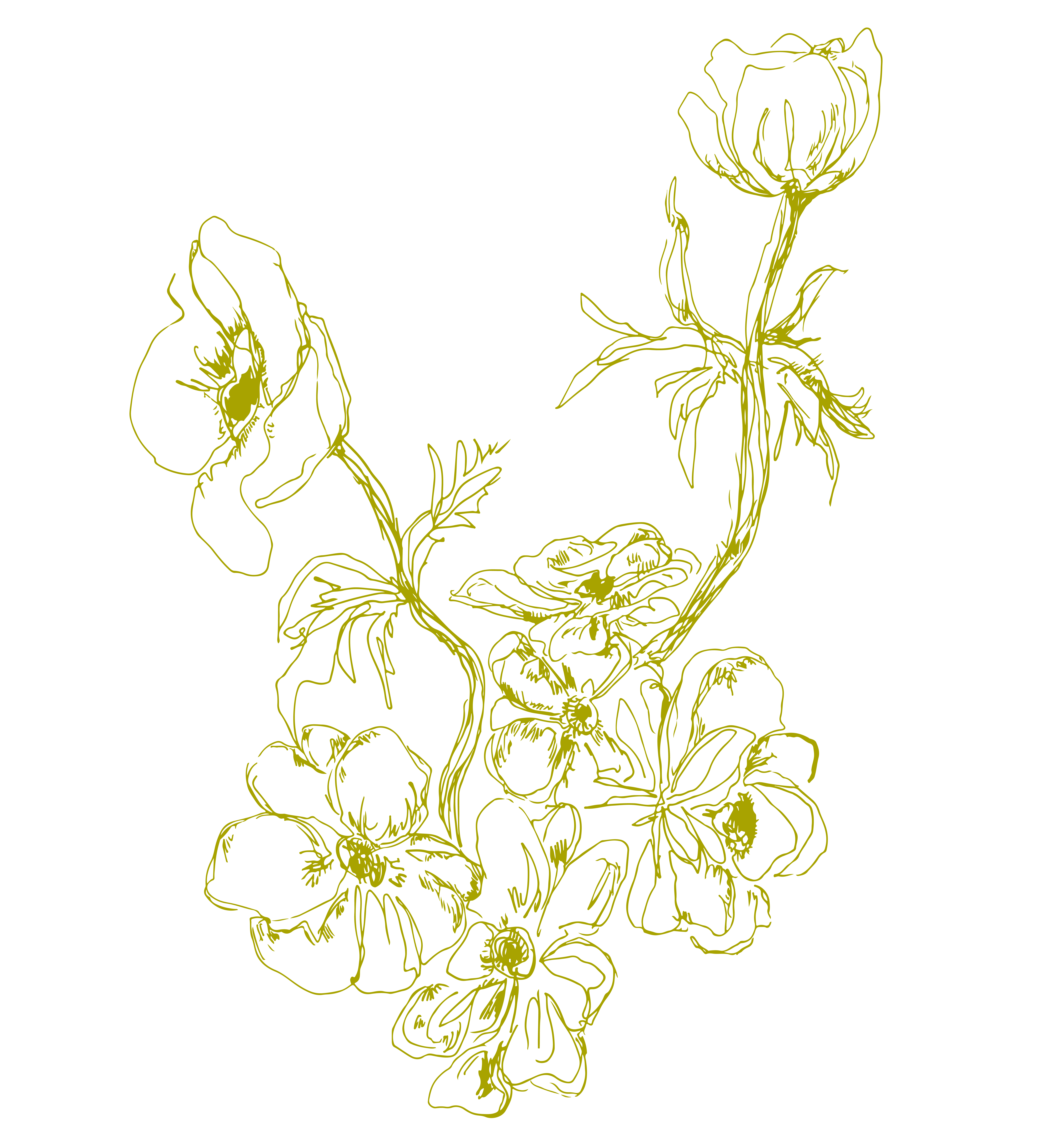 Floral Illustration