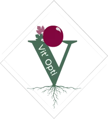 VIT'OPTI